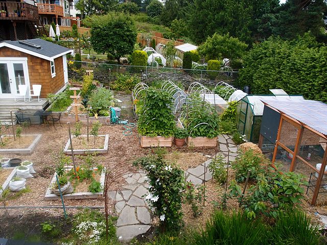 indoor gardening with grow lights